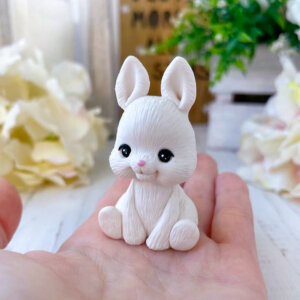 Silicone Moulds Bunny - Moussecakebox