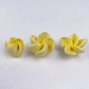 Flower Silicone Moulds - Moussecakebox