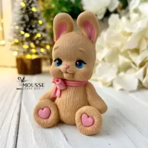 Silicone Moulds - Moussecakebox