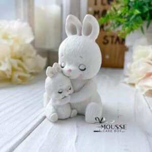 Silicone Moulds - Moussecakebox