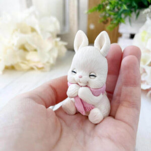 Silicone Moulds - Moussecakebox