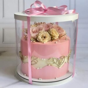 Cake Box 25cm 10 inch - Moussecakebox