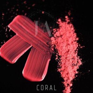 Christmas Pastry Box 20cm - Moussecakebox