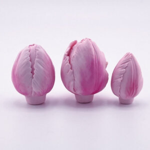 Silicone Mould Set of Tulips