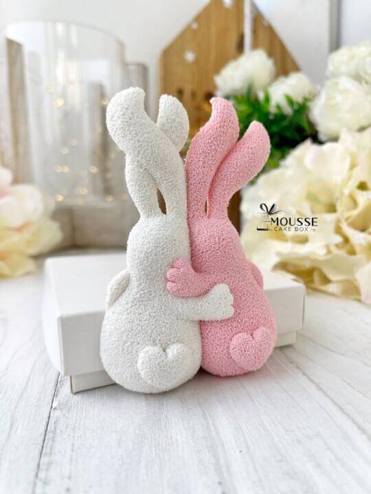 Silicone Moulds - Moussecakebox