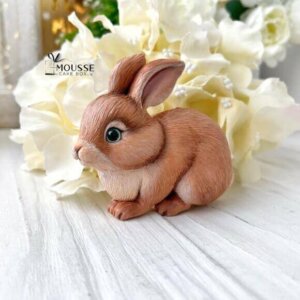 Silicone Moulds - Moussecakebox