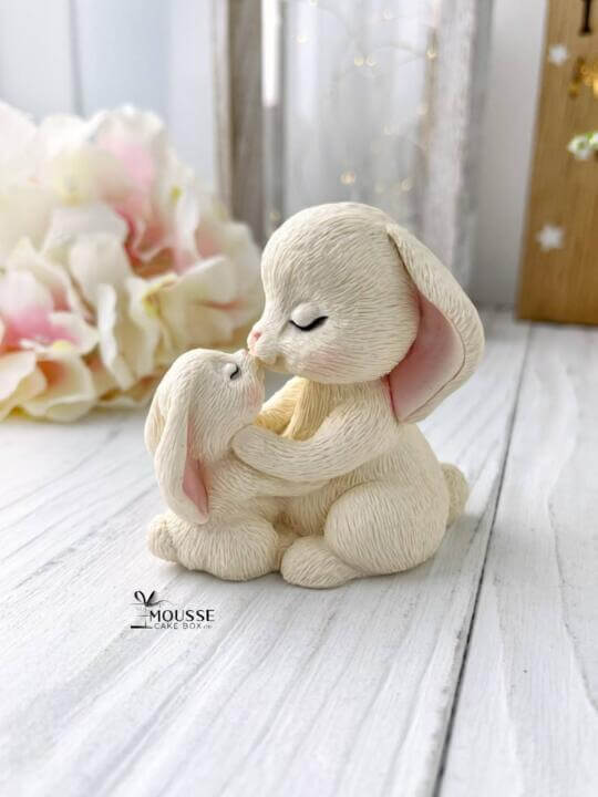 Silicone Moulds - Moussecakebox