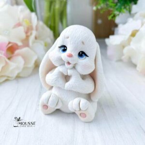 Silicone Moulds - Moussecakebox