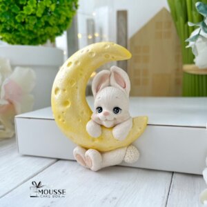 Silicone Mould Bunny on the Moon