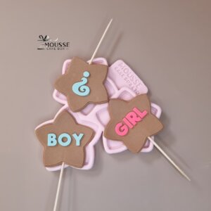 Silicone Moulds - Moussecakebox Silicone Mould Boy or Girl N2