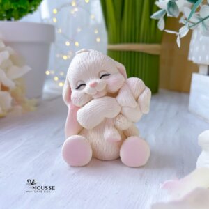 Silicone Mould Mummy Bunny Floppy