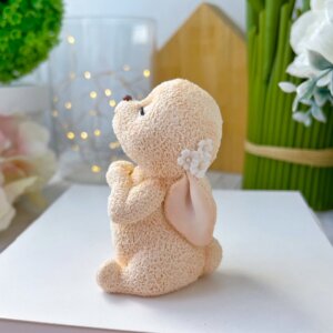 Zoey Bunny Silicone Mould
