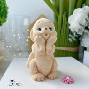 Mia Bunny Silicone Mould